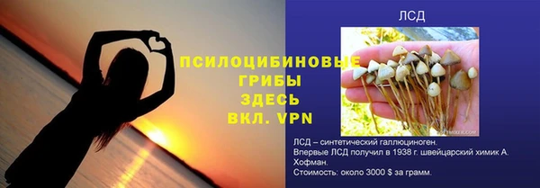 сатива Арсеньев
