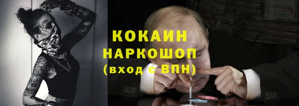 прущие крисы Аркадак