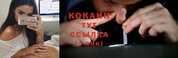 сатива Арсеньев