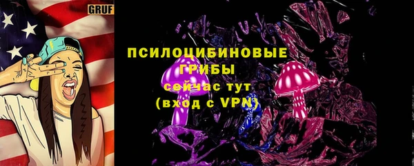 сатива Арсеньев