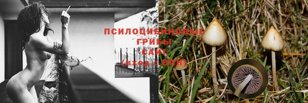 прущие крисы Аркадак
