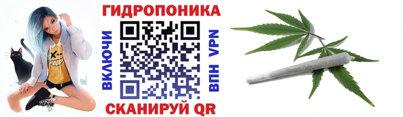 Бошки марихуана планчик  Бакал 