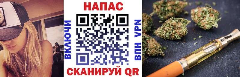Бошки Шишки планчик Бакал